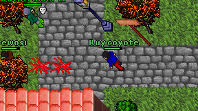 Ruy coyote on screen