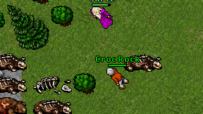 Croc Rock on screen