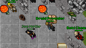 Druid Provider on screen