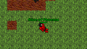 Slize of Phoenix on screen