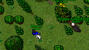 Zhazz on screen