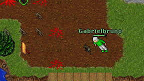 Gabrielbruno on screen