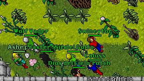 Swineytor on screen