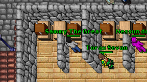 Sammy The Great on screen
