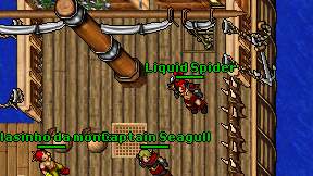 Liquid Spider on screen