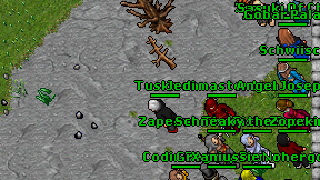 Patriizia on screen