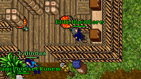 Elite Hard Core on screen