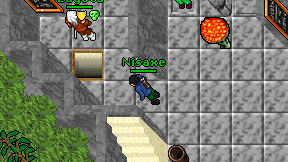 Nisaxe on screen