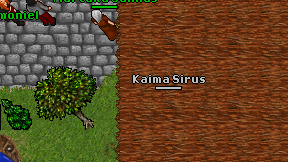 Kaima Sirus on screen
