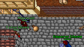 Mayacuil on screen