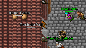 Tuchcia Pall on screen