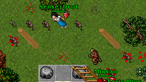 Sensej Drut on screen
