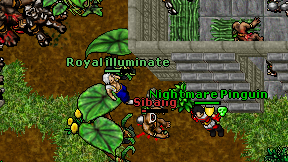 Royal illuminate on screen
