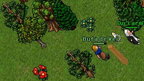 Bufa de Vei on screen