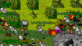 Little'Soul on screen
