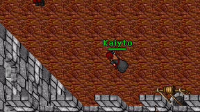 Kaiyto on screen