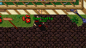 Dee'Natty on screen