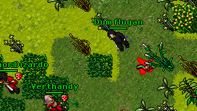 Dum flugan on screen