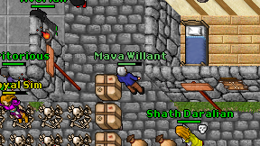 Mava Willant on screen
