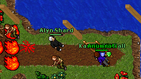 Alyn Shard on screen