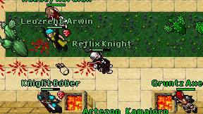 Reflix Knight on screen