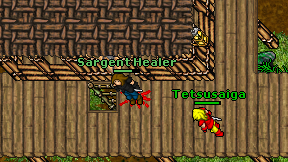 Sargent Healer on screen