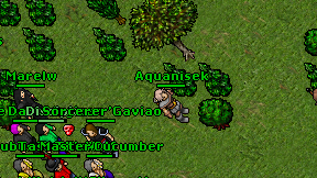 Aquanisek on screen