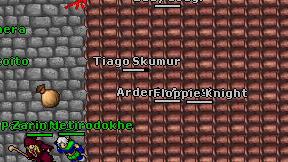 Floppie'Knight on screen