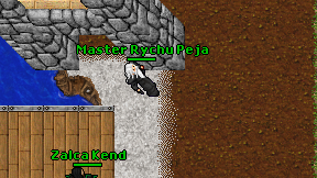 Master Rychu Peja on screen