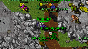 Dondici on screen