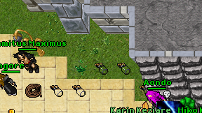 Samitus Maximus on screen