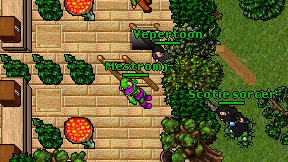 Mestromj on screen