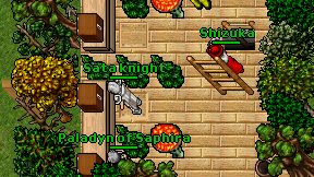 Sata knight on screen