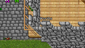Vorits on screen