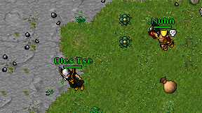 Oles Tse on screen
