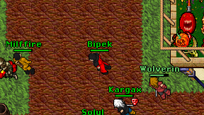 Bipek on screen