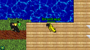 Druid mal on screen