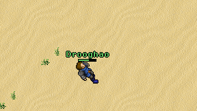 Drooghao on screen