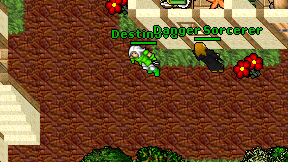 Destinova on screen