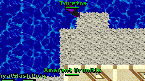 Toretos on screen