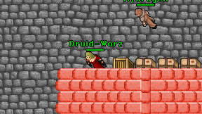 Druid-Worz on screen