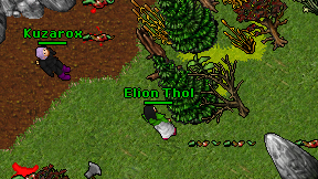 Elion Thol on screen