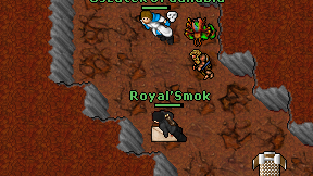 Royal'Smok on screen