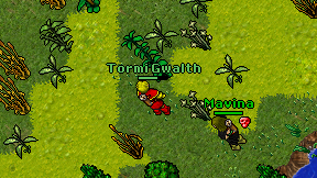 Tormi Gwalth on screen