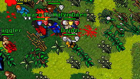 Dzidzi on screen