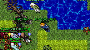 Invencible on screen