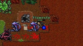 Flamesty on screen