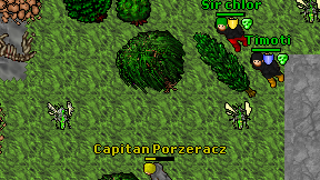 Capitan Porzeracz on screen
