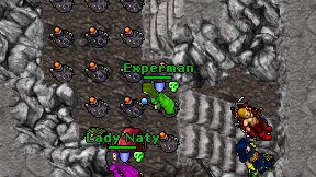 Experman on screen