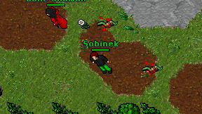 Sobinek on screen